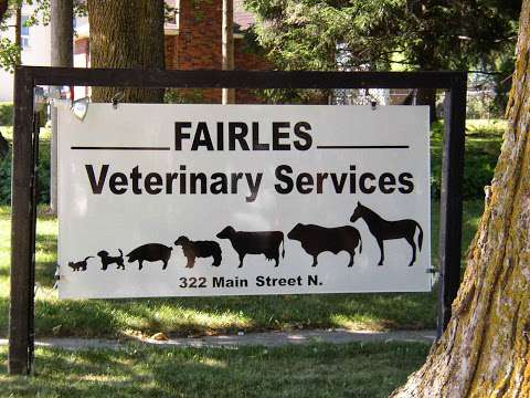 Fairies Veterinary Srvcsrprtn